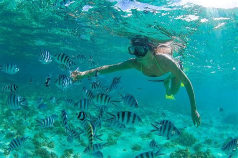 cabo pulmo tours|cabo pulmo national park snorkeling.